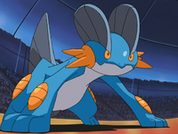 Tucker's Swampert