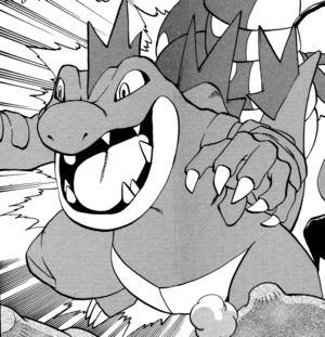 Silver Feraligatr.png