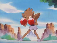 Anthony Hitmonchan.png