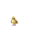 Pidgey