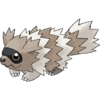 0263Zigzagoon.png