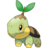 Turtwig