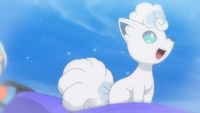 Cerah's Ninetales