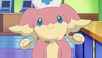 Nurse Joy's Audino