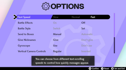 Options SwSh.png