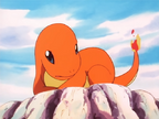 Charmander-The Stray Pokémon