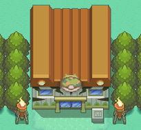 Johto Safari Zone HGSS.png