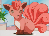 Brock's Vulpix