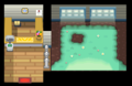 Johto: Route 34