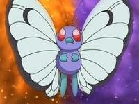 Jeremy's Butterfree