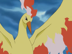 One Island Moltres.png