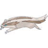 0264Linoone.png