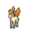 Ponyta