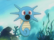 Misty Horsea.png