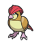 Pidgeotto