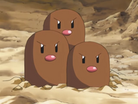 Katie's Dugtrio