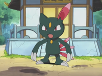 Harrison's Sneasel