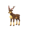 Sawsbuck (Spring Form)