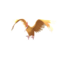 Fearow