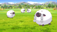 Milo's Wooloo