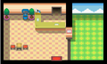 Sinnoh: Solaceon Town