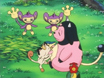 Miltank Milk Drink.png