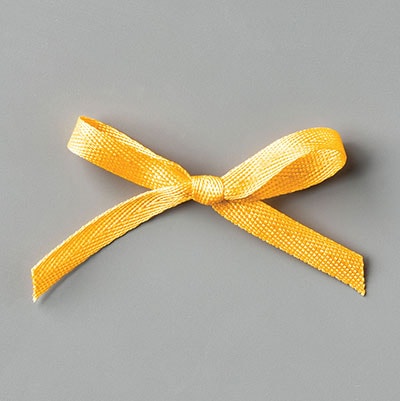 Bumblebee 1/4" (6.4 Mm) 2020–2022 In Color Ribbon