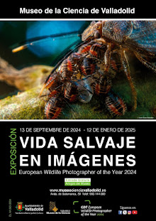 VIDA SALVAJE EN IMÁGENES. MUSEO DE LA CIENCIA DE VALLADOLID