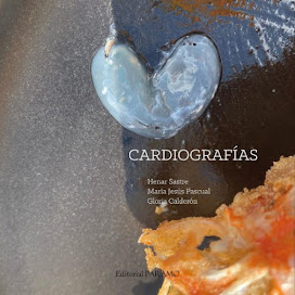 CARDIOGRAFÍAS. LIBRO DE HENAR SASTRE, MARÍA JESÚS PASCUAL Y GLORIA CALDERÓN