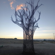 ASOCIACIÓN MEDIOAMBIENTAL LA CHICHARRA. OLMEDO Y MEDINA