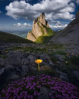 Imagen de Alta Montaña