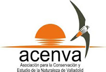 ACENVA. ASOCIACIÓN PARA LA CONSERVACIÓN Y ESTUDIO DE LA NATURALEZA DE VALLADOLID