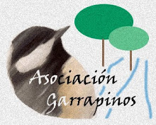 ASOCIACIÓN GARRAPINOS