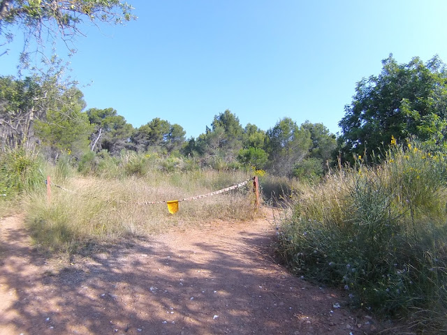 Fuente de Vallirana, Camino Sol Blau