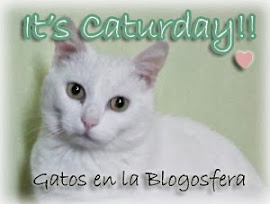 Gatos en la Blogosfera