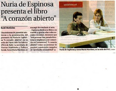 ENTREVISTA DIARI 2010