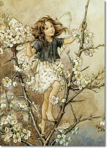 Cicely Barker