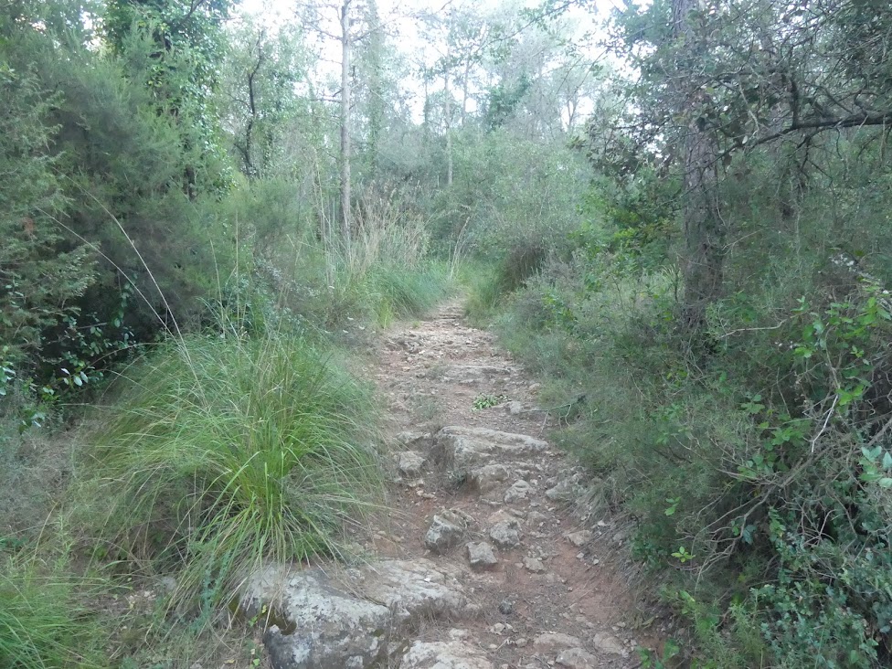 Forn de Calç Begues