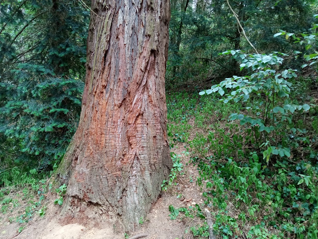 Arboretum Masjoan