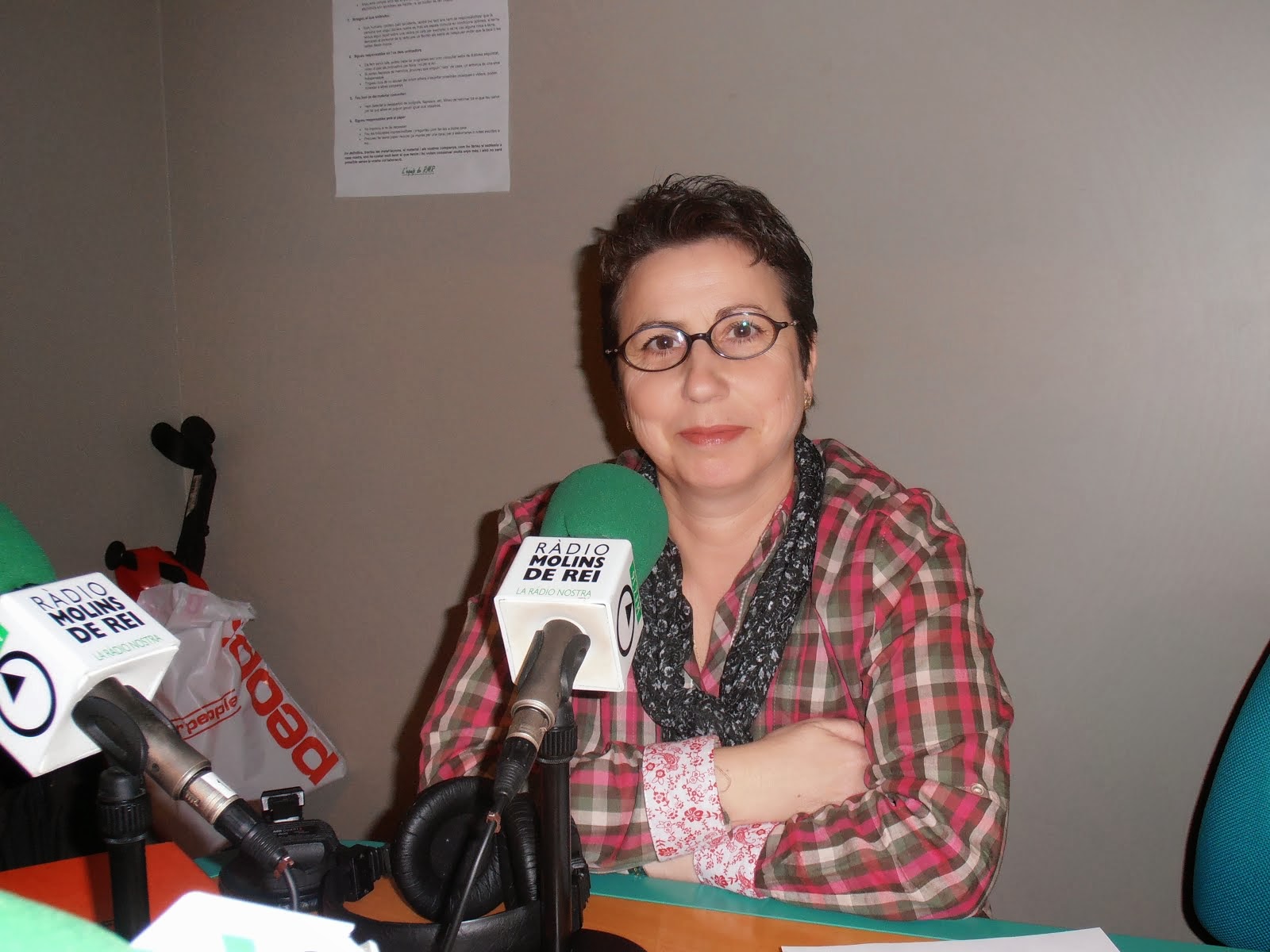 Radio Molins de  Rei