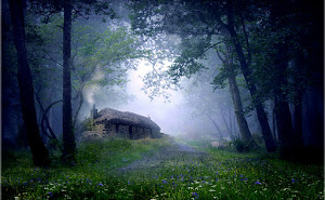 Casas en el Bosque