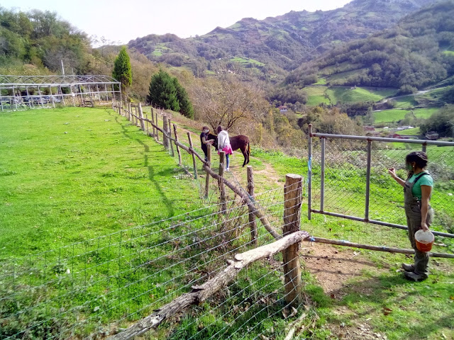 mi hija y su amiga con el burro