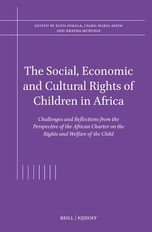 Cover The Social, Economic and Cultural Rights of Children in Africa