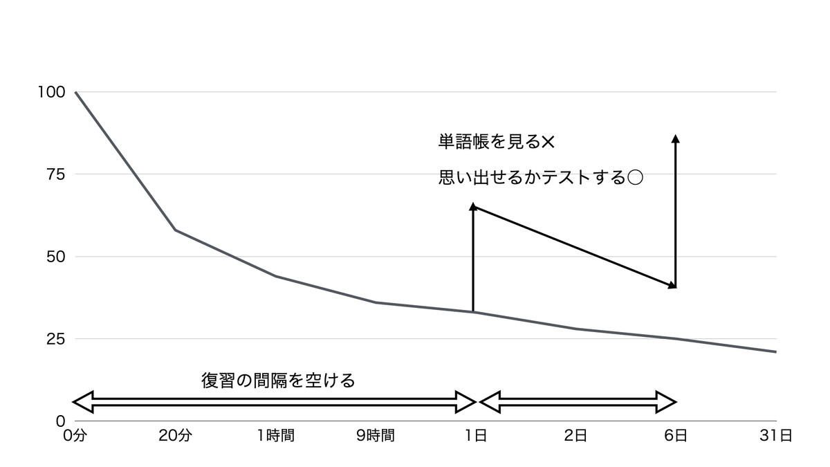 遅延効果とテスト効果