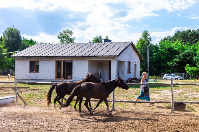 Małgorzata buduje dom według projektu gotowego Muratora