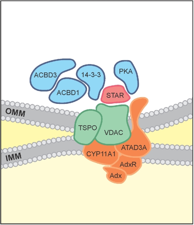 Figure 3.