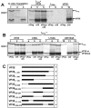 FIG. 6.