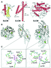 FIG. 3