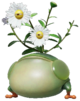 P4 Creeping Chrysanthemum.png