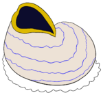 Turban Foamvalve.png